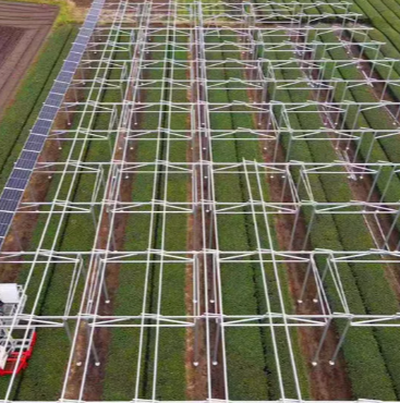 Kupowanie vs leasing paneli słonecznych: który z nich działa dla Ciebie?