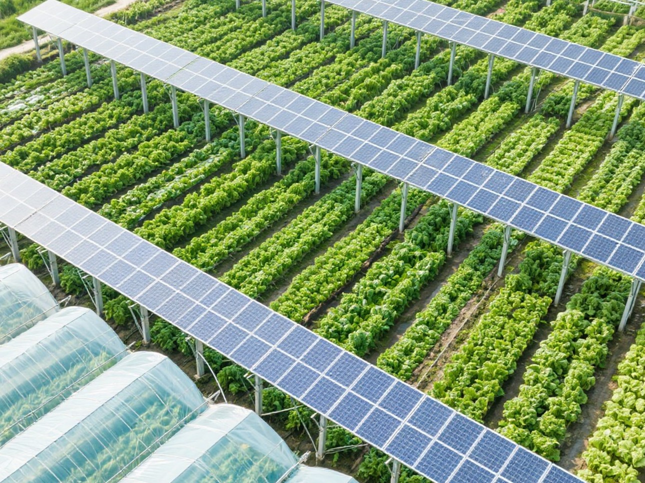 Jaki rodzaj systemu wsparcia jest zwykle używany w gospodarstwach słonecznych?