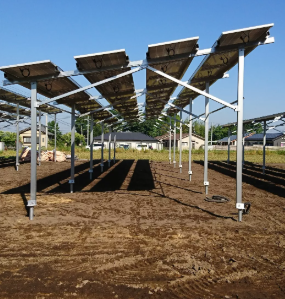 Który korzysta z gospodarstw słonecznych