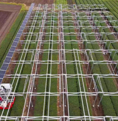 Do czego są używane farmy słoneczne